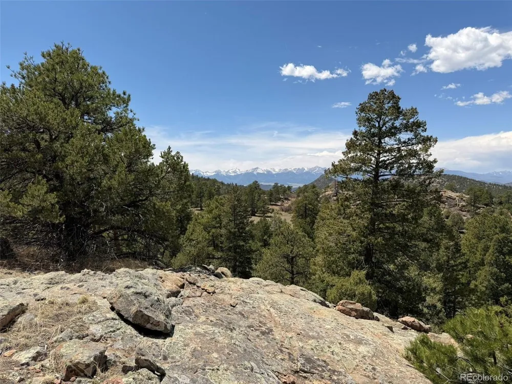 477 Bear Peak Road Westcliffe, CO 81252