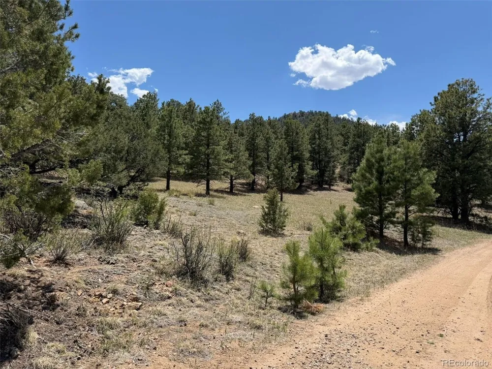 477 Bear Peak Road Westcliffe, CO 81252