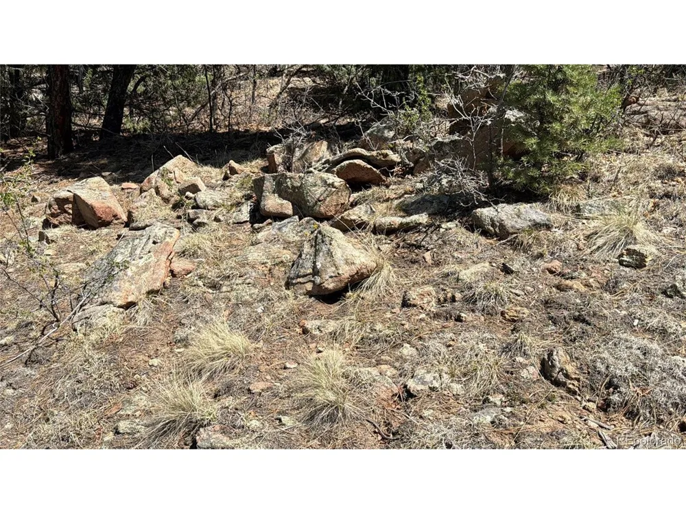 477 Bear Peak Road Westcliffe, CO 81252