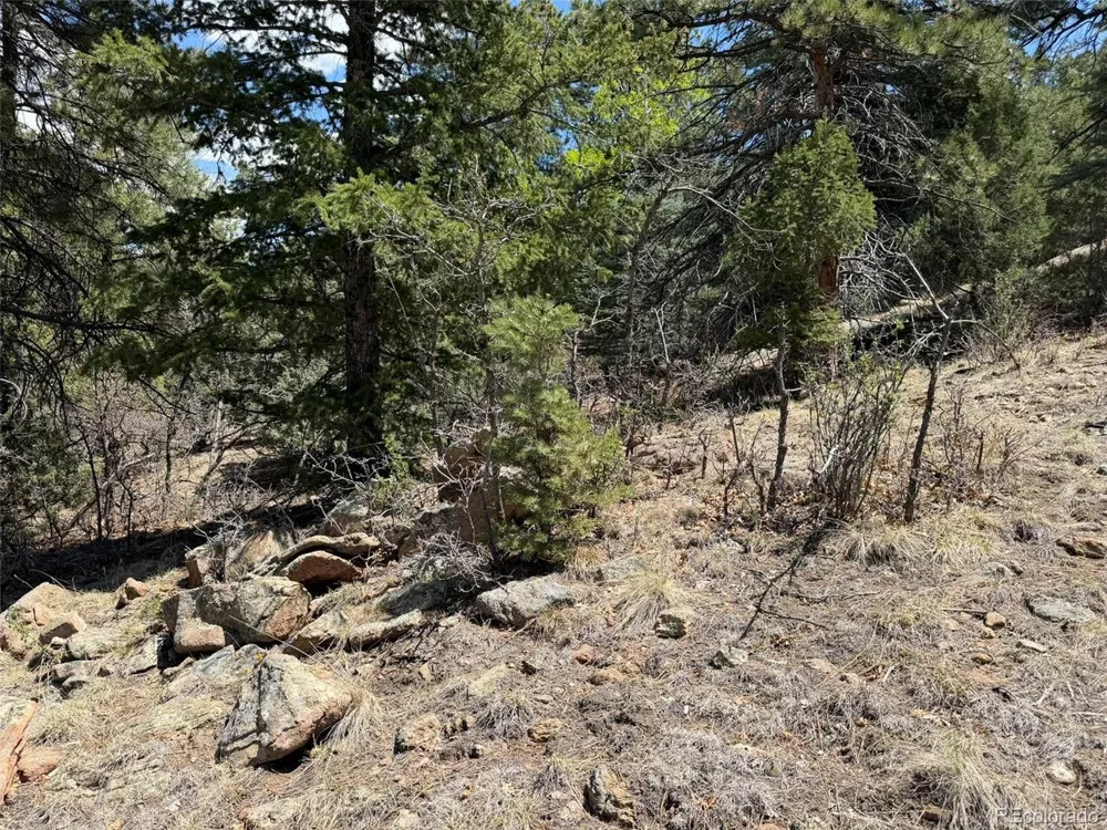 477 Bear Peak Road Westcliffe, CO 81252