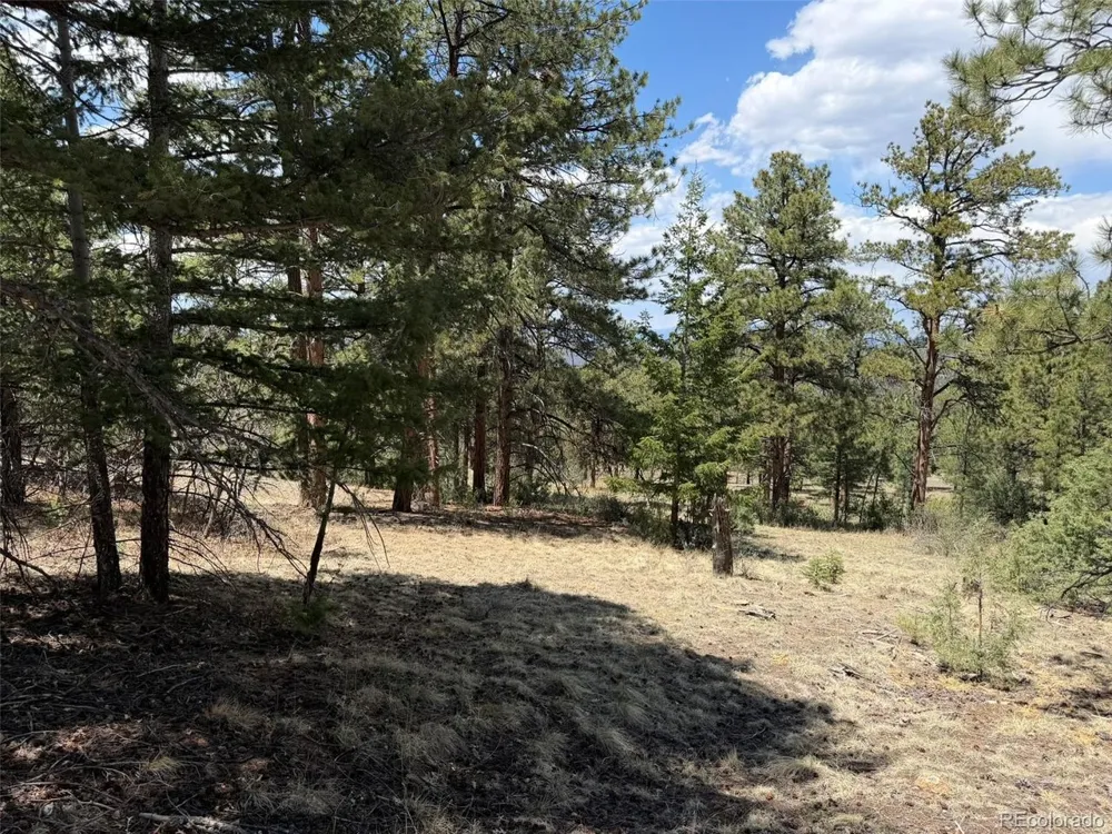 477 Bear Peak Road Westcliffe, CO 81252