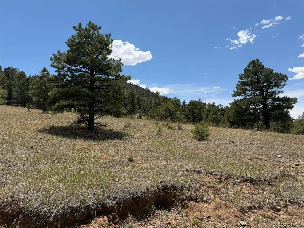 477 Bear Peak Road Westcliffe, CO 81252