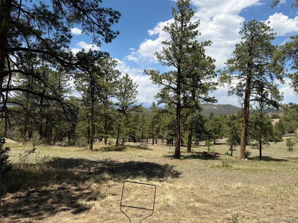 477 Bear Peak Road Westcliffe, CO 81252