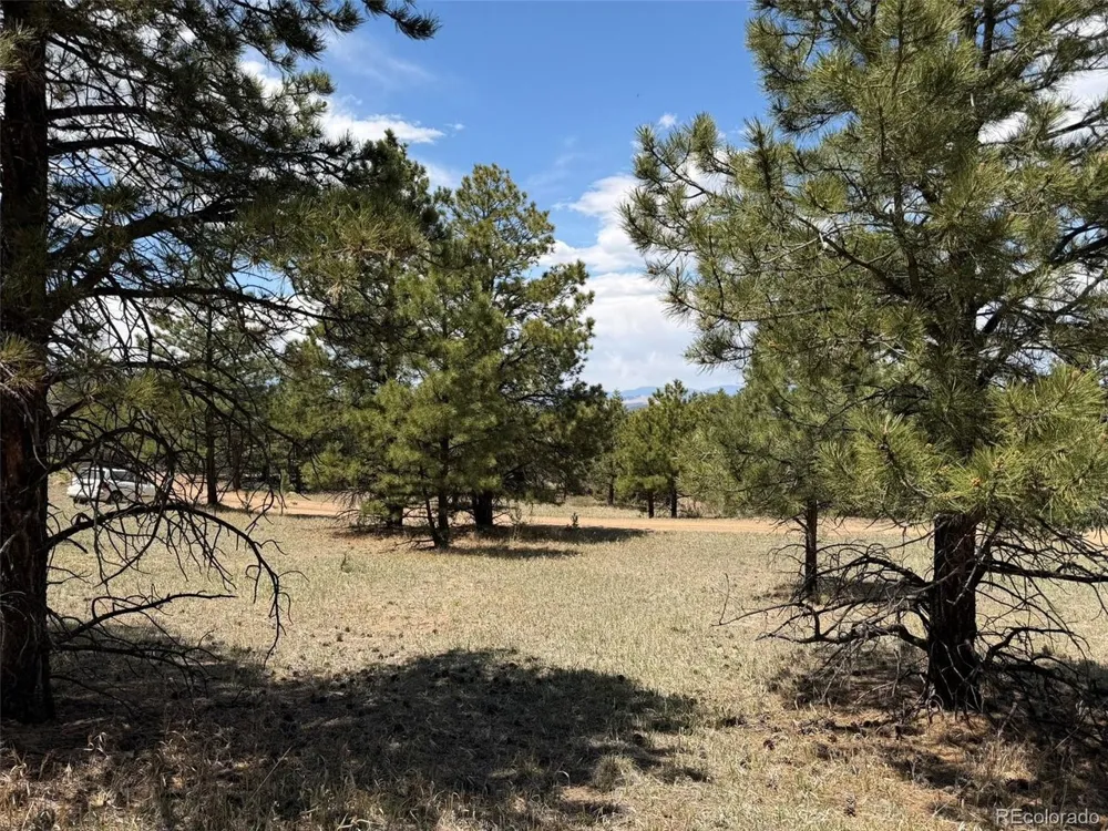 477 Bear Peak Road Westcliffe, CO 81252