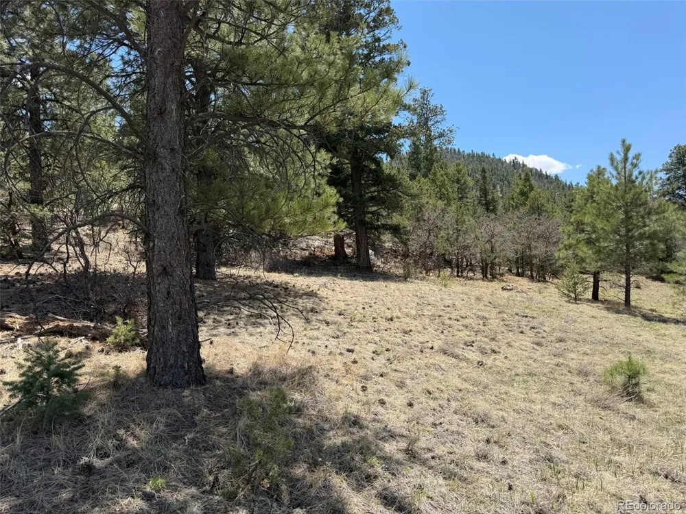 477 Bear Peak Road Westcliffe, CO 81252