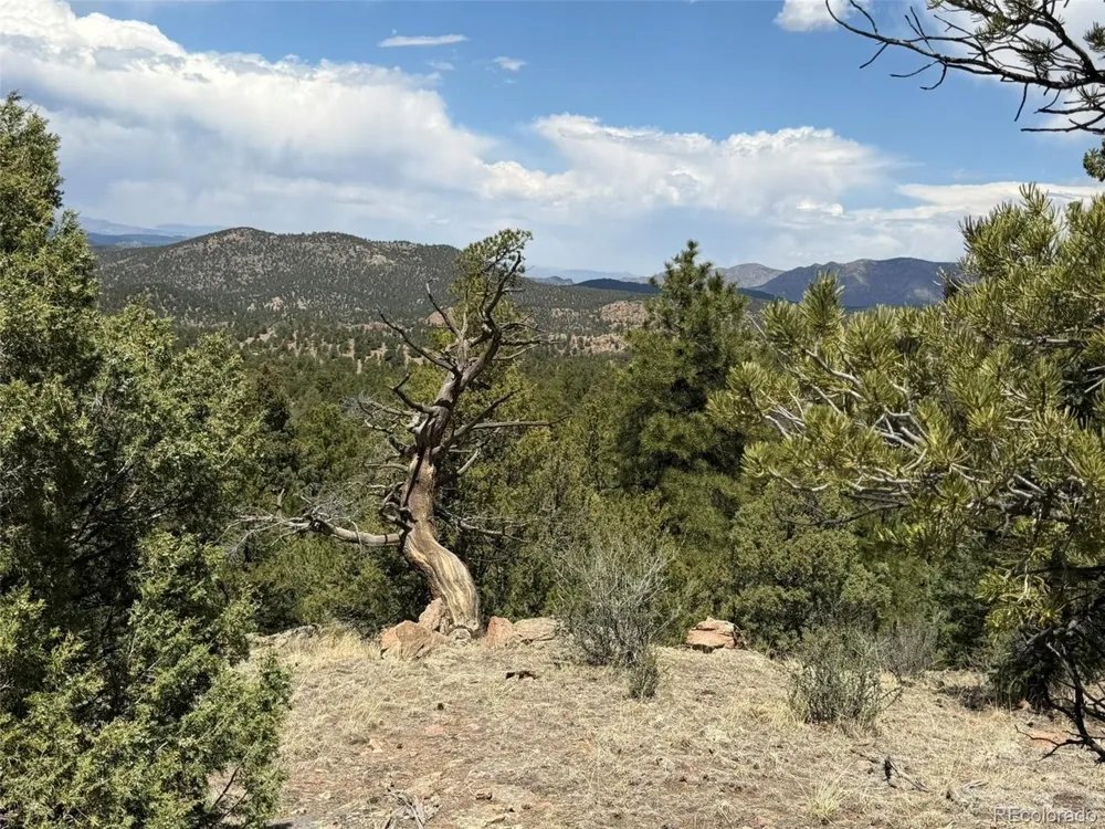 477 Bear Peak Road Westcliffe, CO 81252