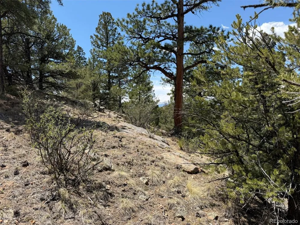 477 Bear Peak Road Westcliffe, CO 81252