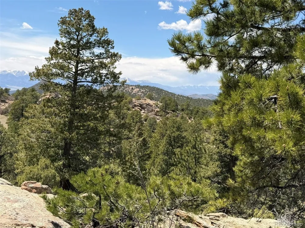 477 Bear Peak Road Westcliffe, CO 81252