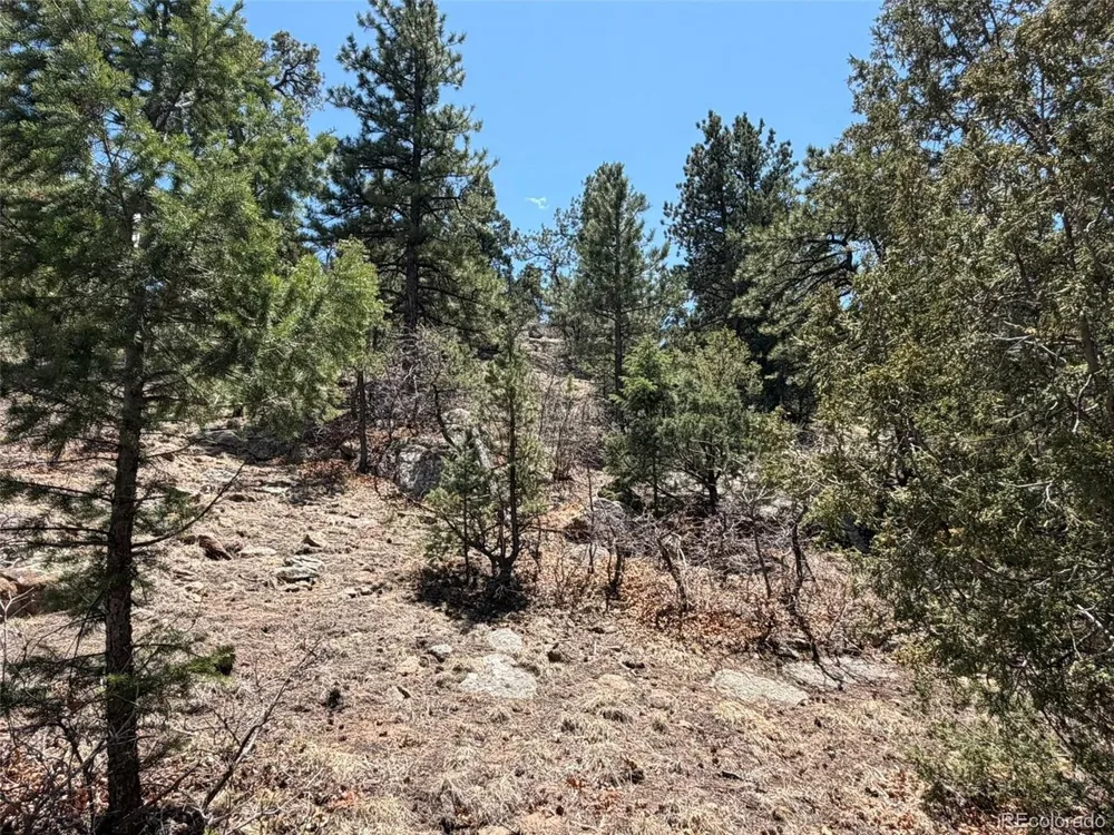 477 Bear Peak Road Westcliffe, CO 81252