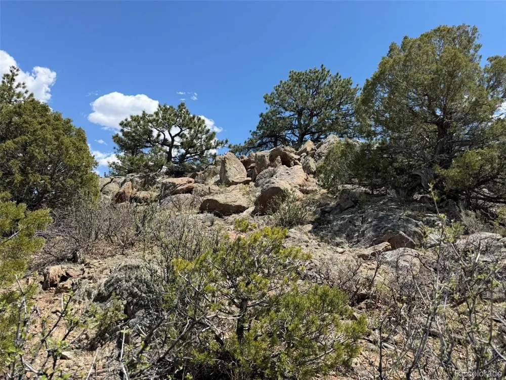 477 Bear Peak Road Westcliffe, CO 81252