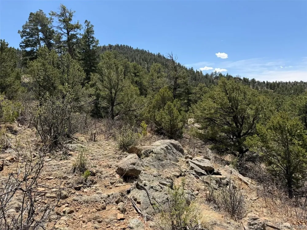 477 Bear Peak Road Westcliffe, CO 81252