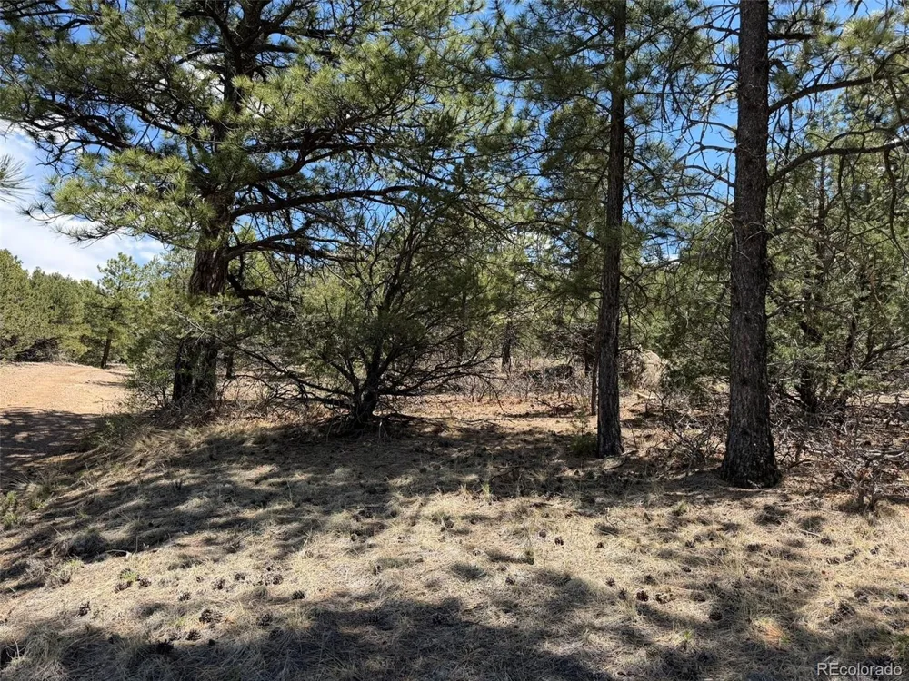 477 Bear Peak Road Westcliffe, CO 81252