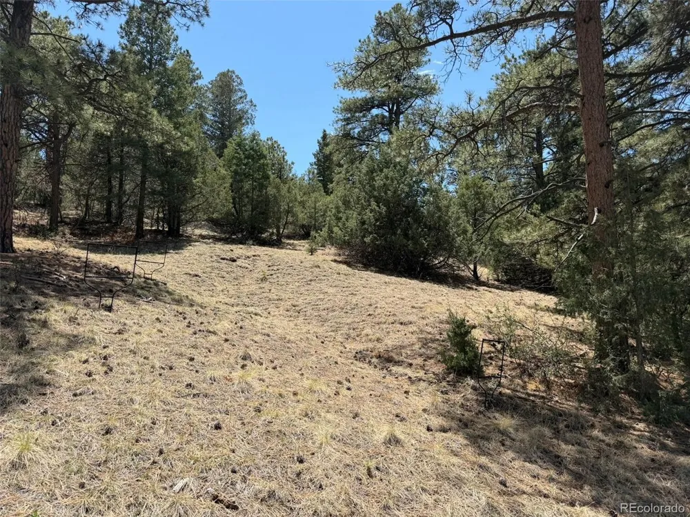 477 Bear Peak Road Westcliffe, CO 81252