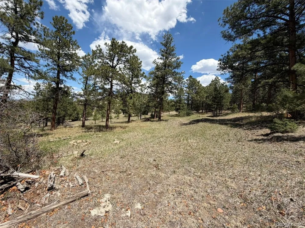 477 Bear Peak Road Westcliffe, CO 81252