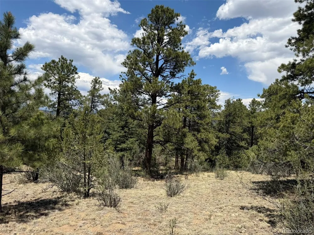 477 Bear Peak Road Westcliffe, CO 81252