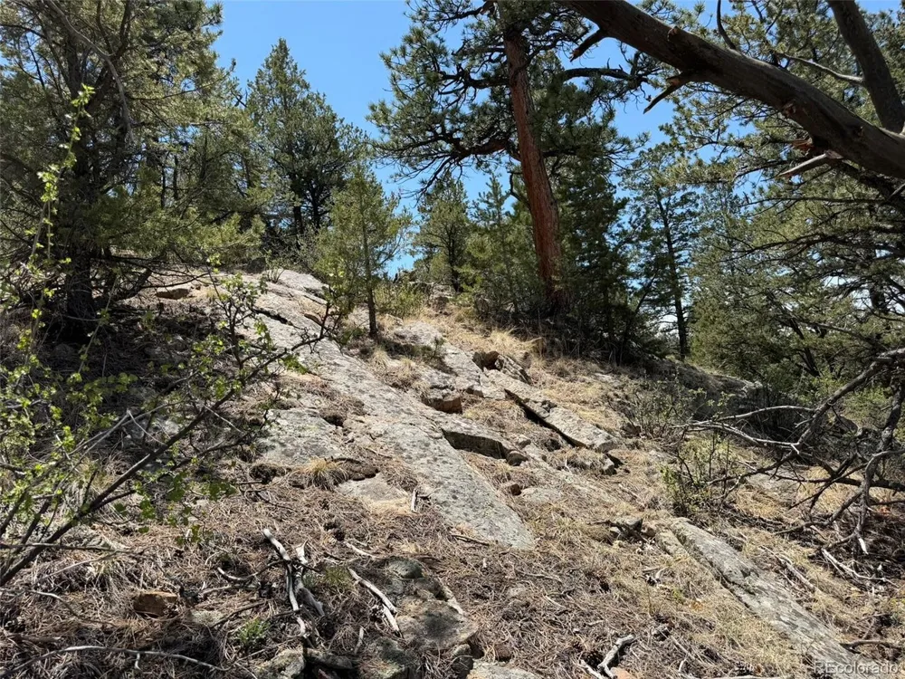 477 Bear Peak Road Westcliffe, CO 81252