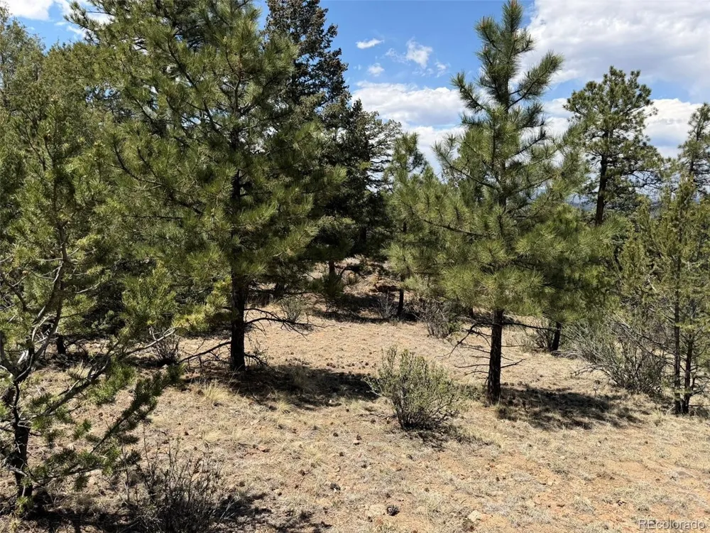 477 Bear Peak Road Westcliffe, CO 81252