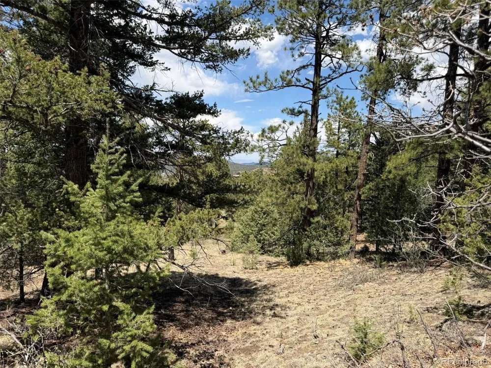477 Bear Peak Road Westcliffe, CO 81252