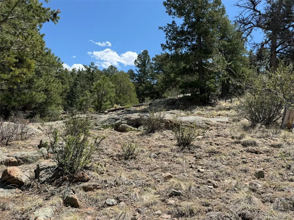 477 Bear Peak Road Westcliffe, CO 81252