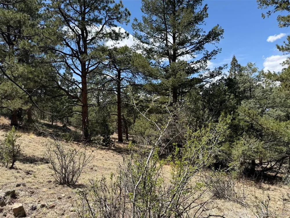 477 Bear Peak Road Westcliffe, CO 81252