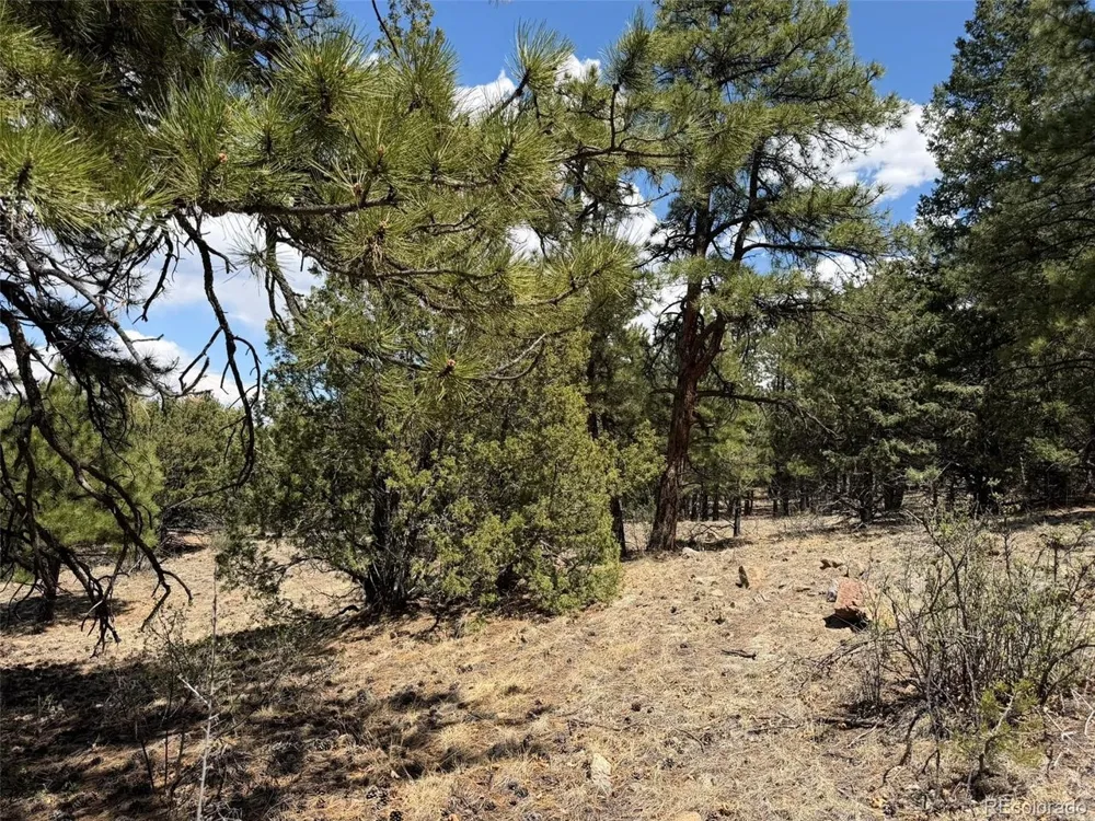 477 Bear Peak Road Westcliffe, CO 81252