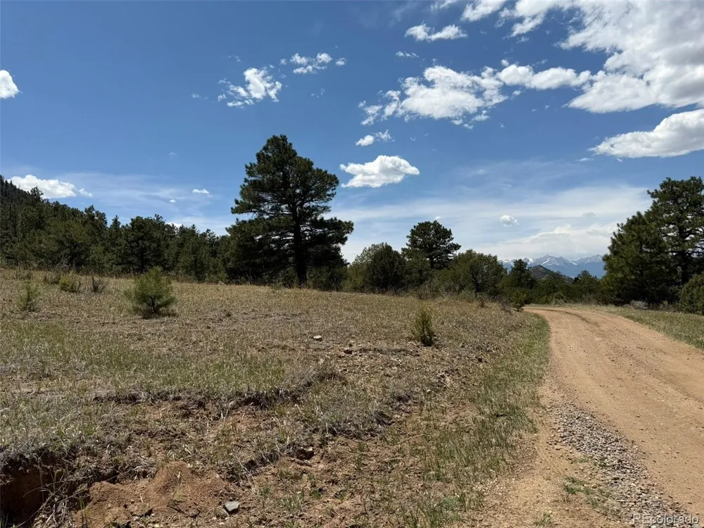 477 Bear Peak Road Westcliffe, CO 81252