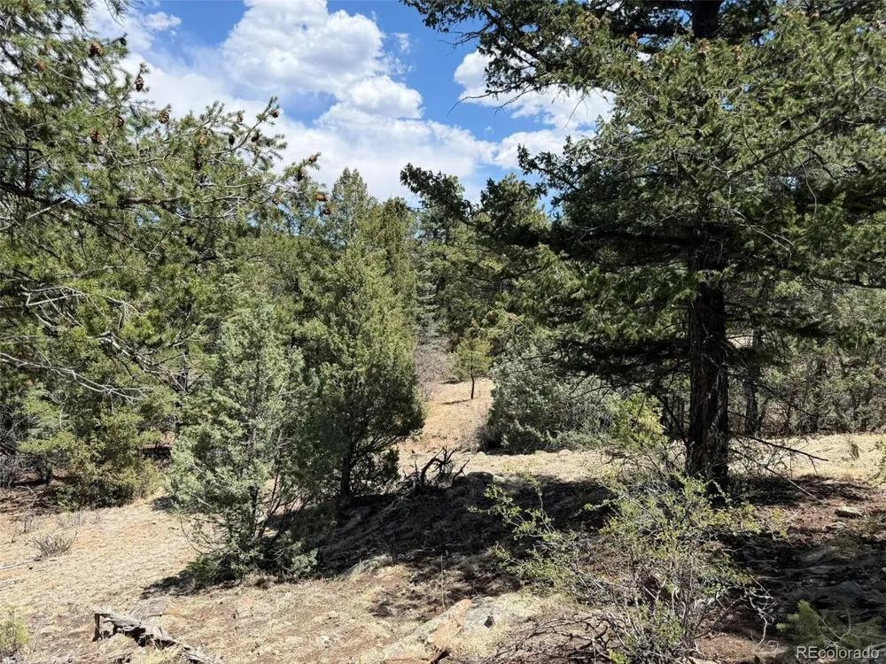 477 Bear Peak Road Westcliffe, CO 81252