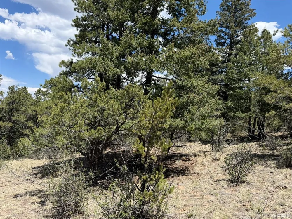 477 Bear Peak Road Westcliffe, CO 81252
