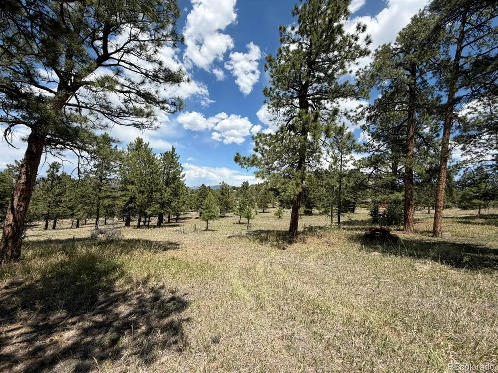 477 Bear Peak Road Westcliffe, CO 81252