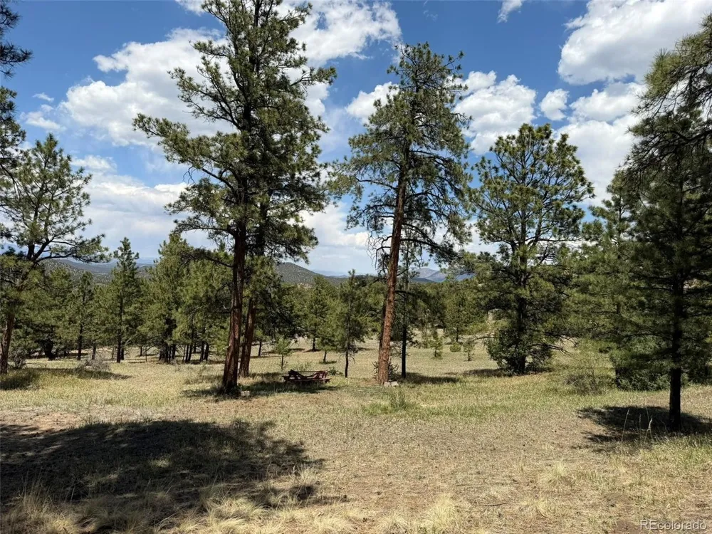 477 Bear Peak Road Westcliffe, CO 81252