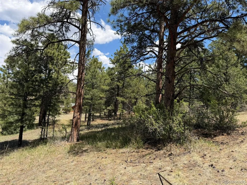 477 Bear Peak Road Westcliffe, CO 81252