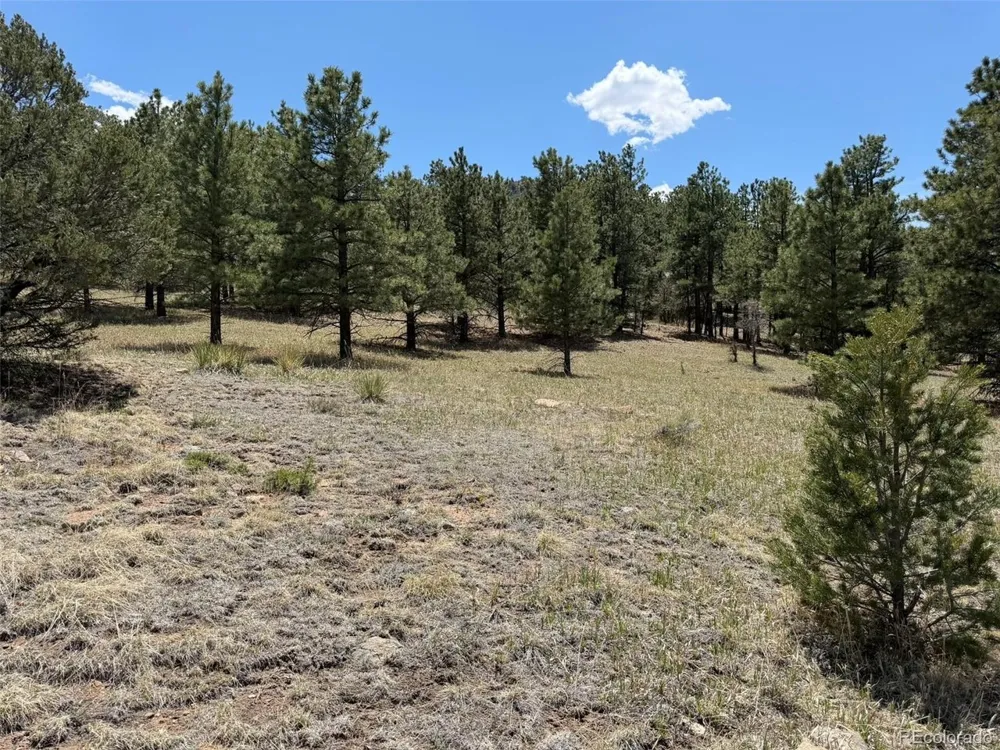 477 Bear Peak Road Westcliffe, CO 81252