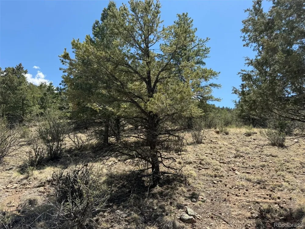 477 Bear Peak Road Westcliffe, CO 81252