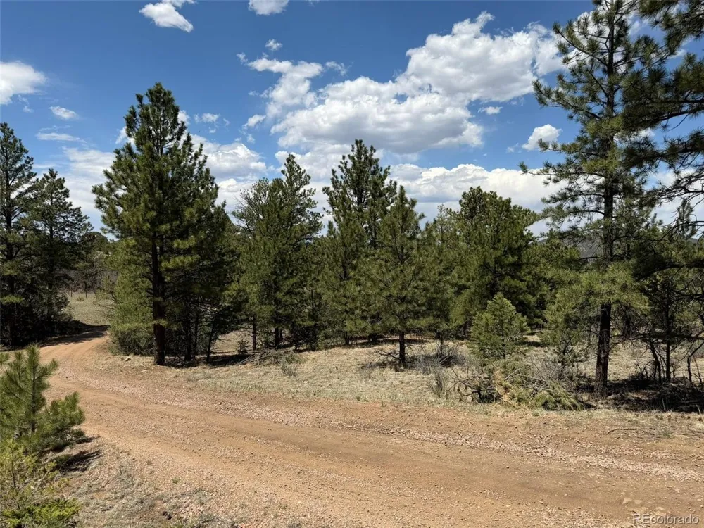 477 Bear Peak Road Westcliffe, CO 81252