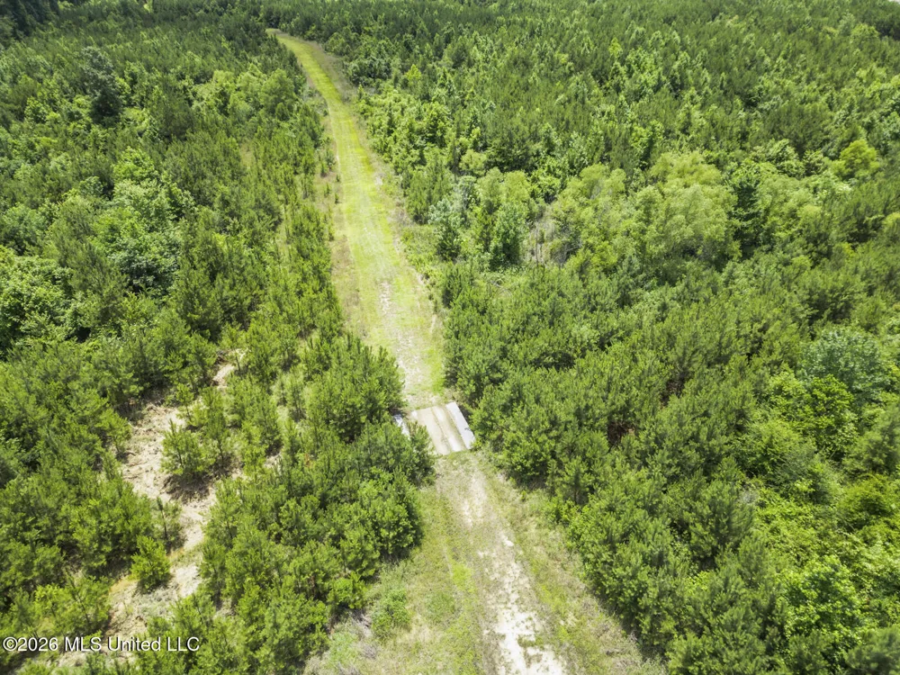 11281 Mississippi 21 Forest, MS 39074