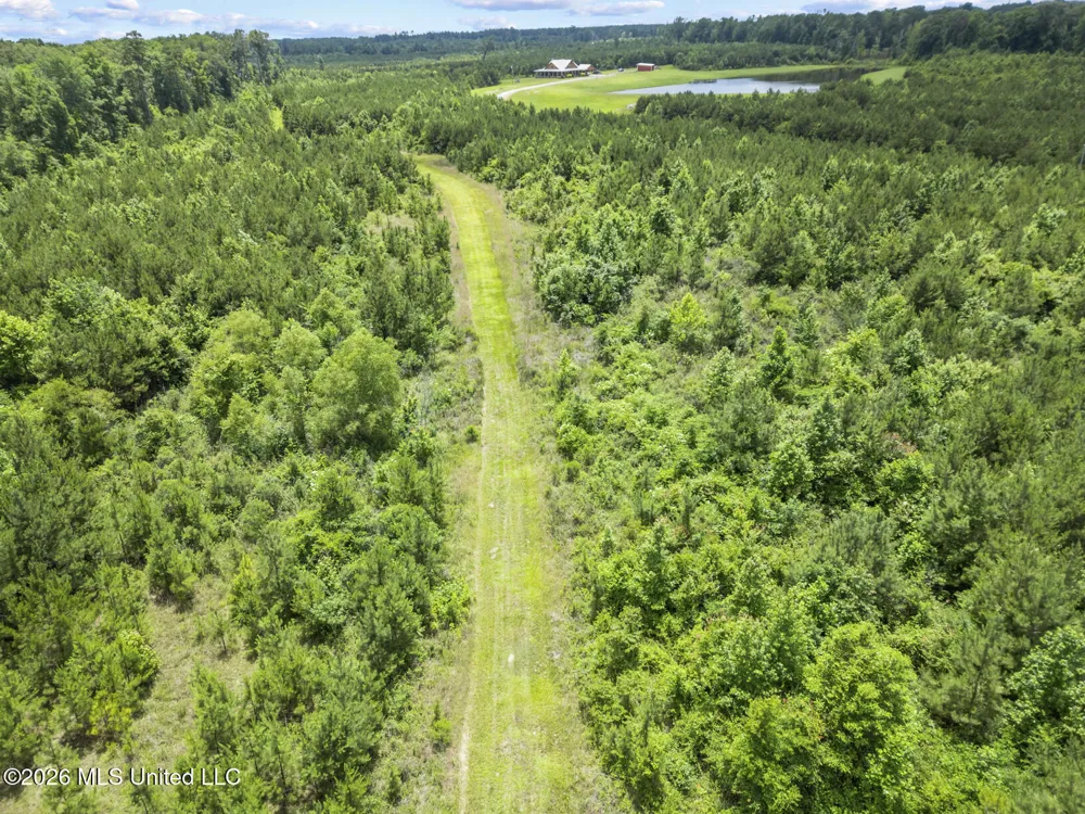 11281 Mississippi 21 Forest, MS 39074