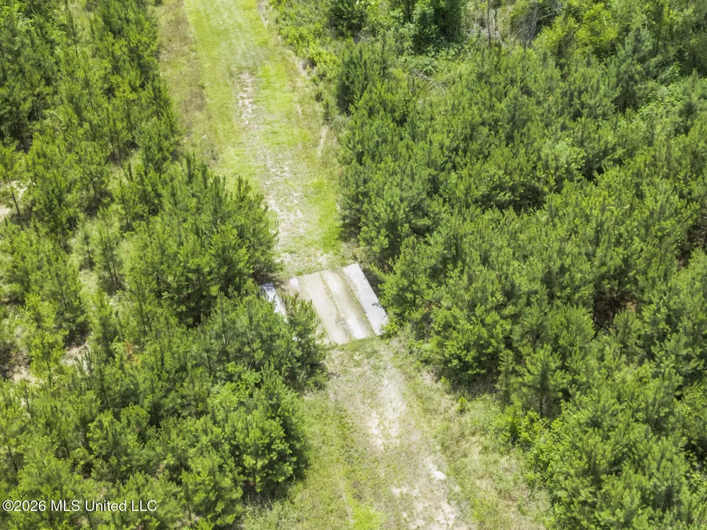 11281 Mississippi 21 Forest, MS 39074