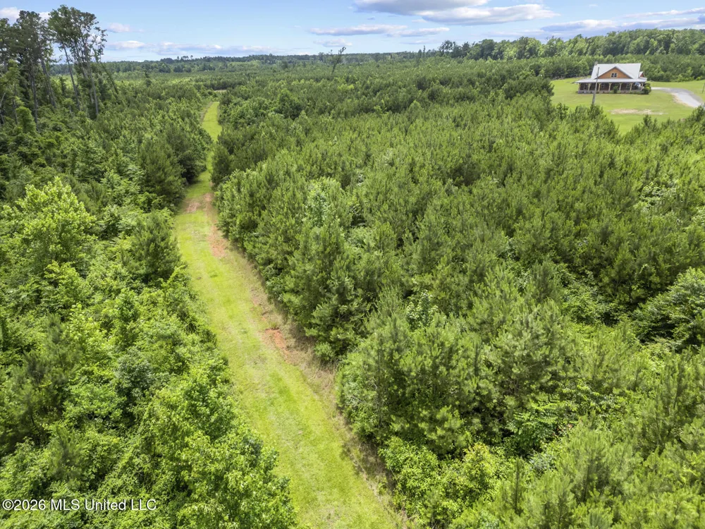11281 Mississippi 21 Forest, MS 39074