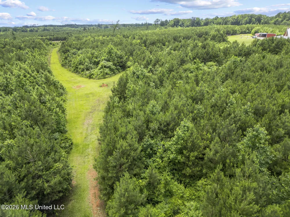 11281 Mississippi 21 Forest, MS 39074