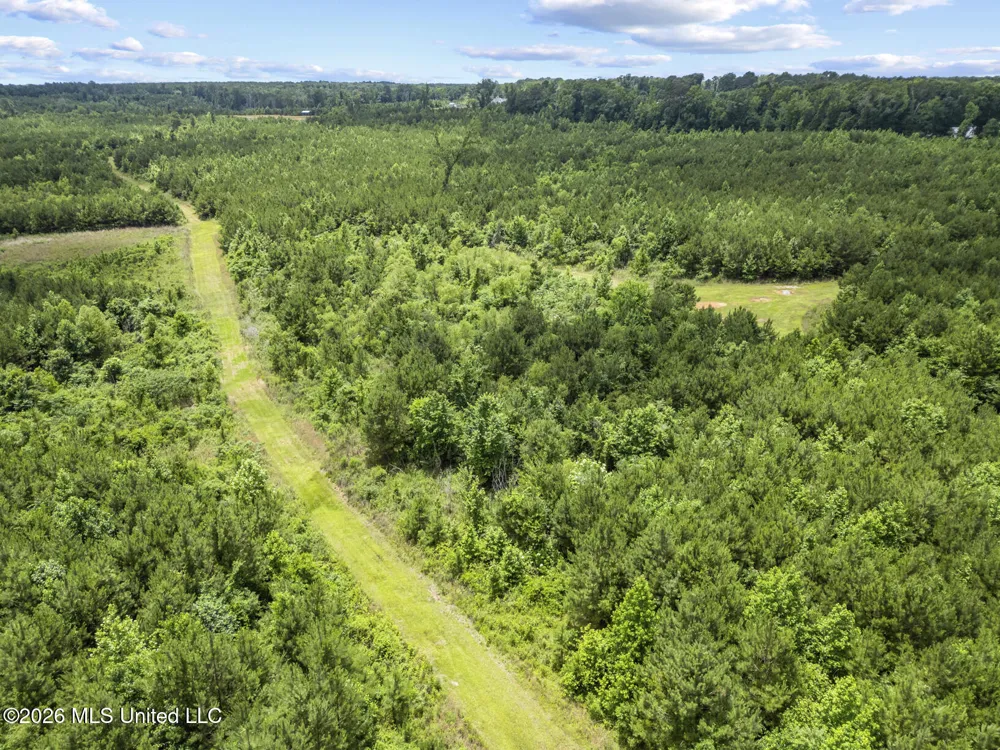 11281 Mississippi 21 Forest, MS 39074
