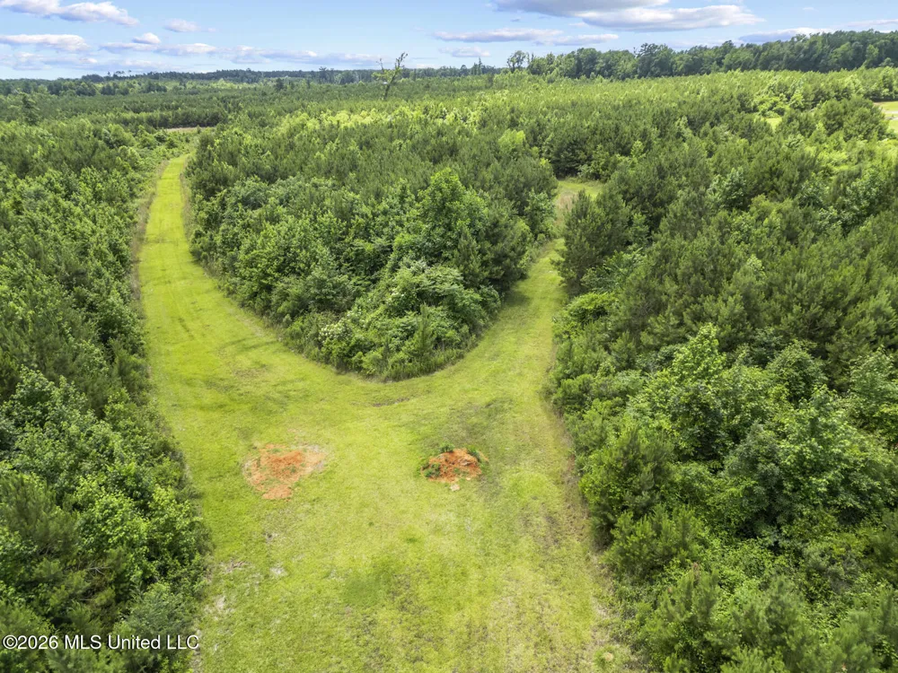 11281 Mississippi 21 Forest, MS 39074