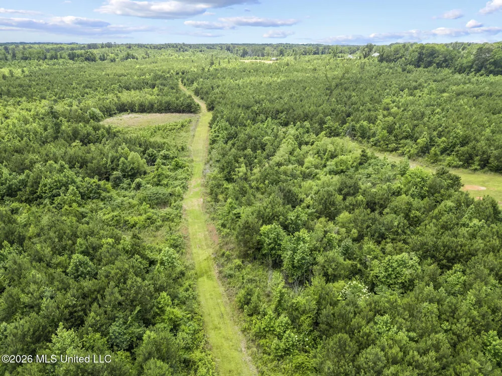 11281 Mississippi 21 Forest, MS 39074