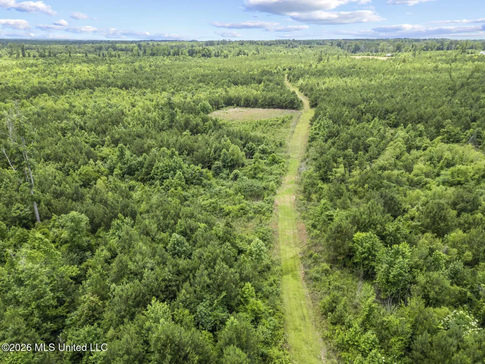 11281 Mississippi 21 Forest, MS 39074