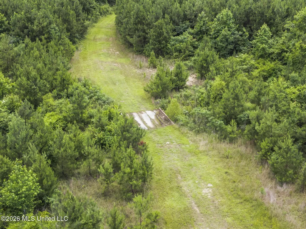 11281 Mississippi 21 Forest, MS 39074