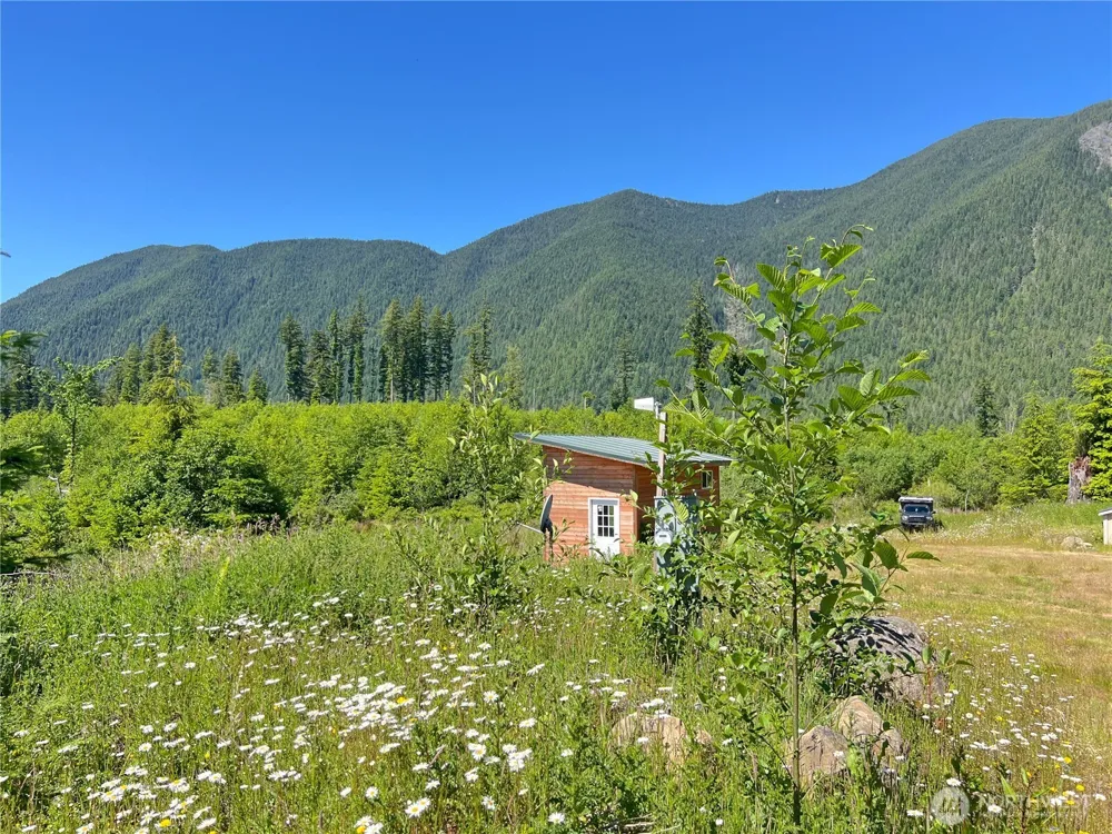 2904 Wildwood Drive Quilcene, WA 98376