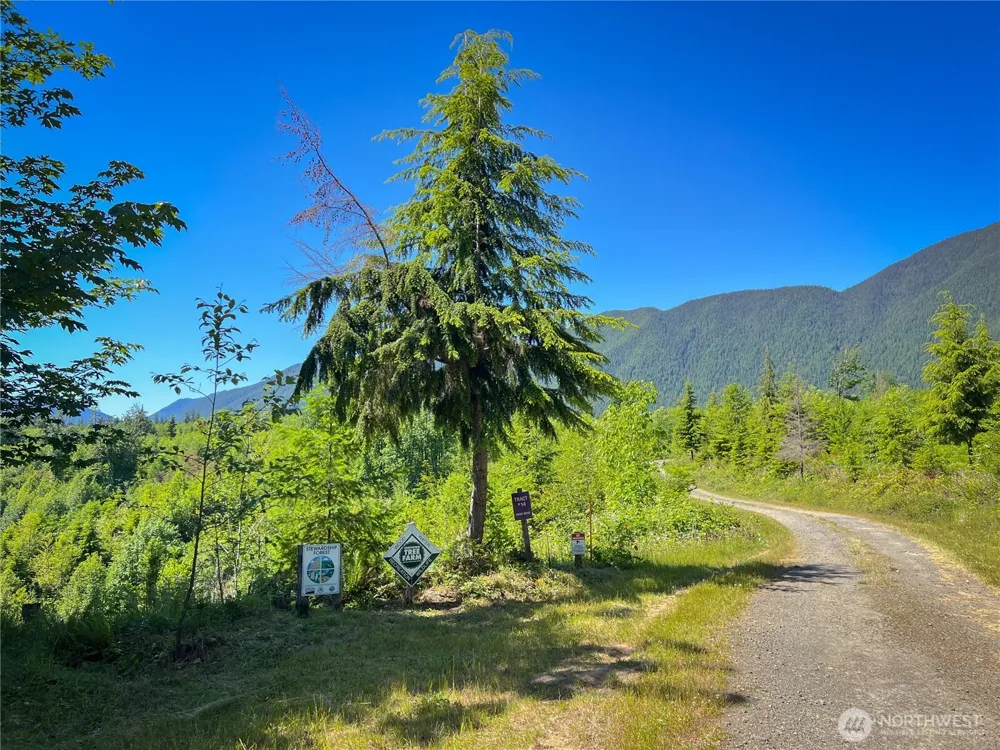 2904 Wildwood Drive Quilcene, WA 98376