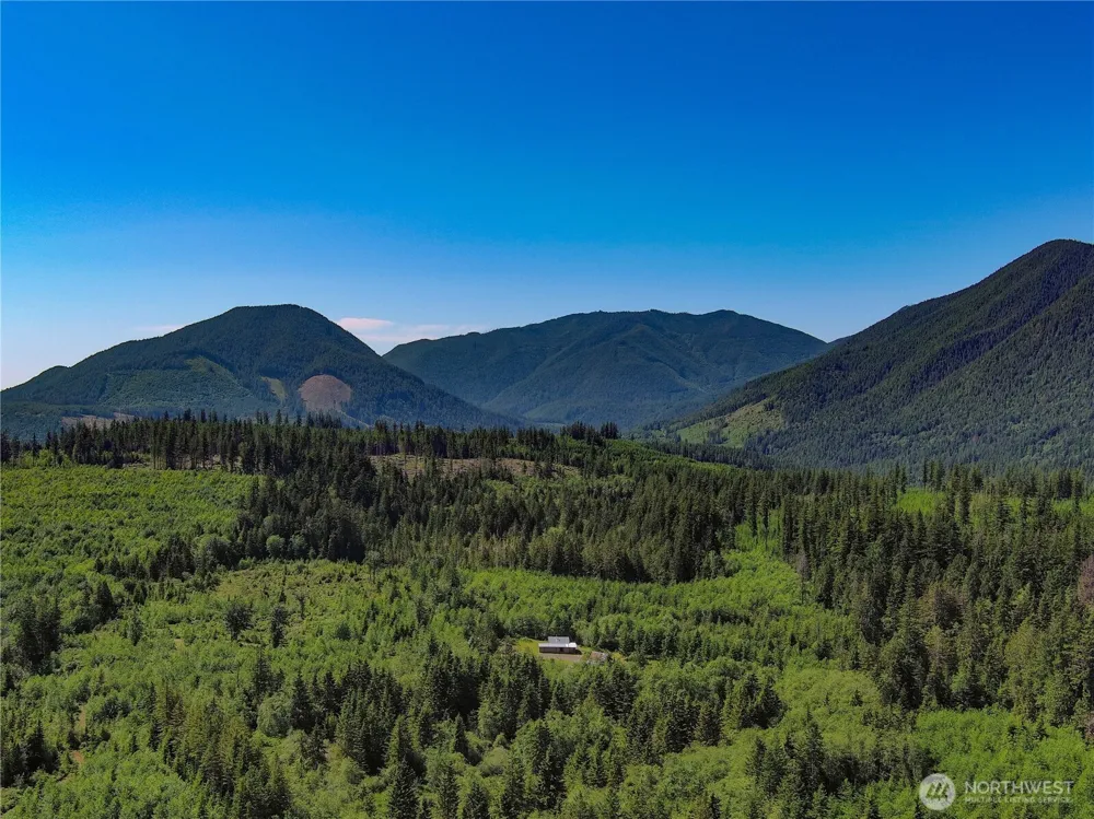2904 Wildwood Drive Quilcene, WA 98376