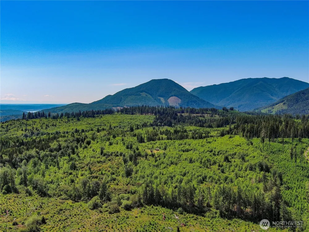 2904 Wildwood Drive Quilcene, WA 98376