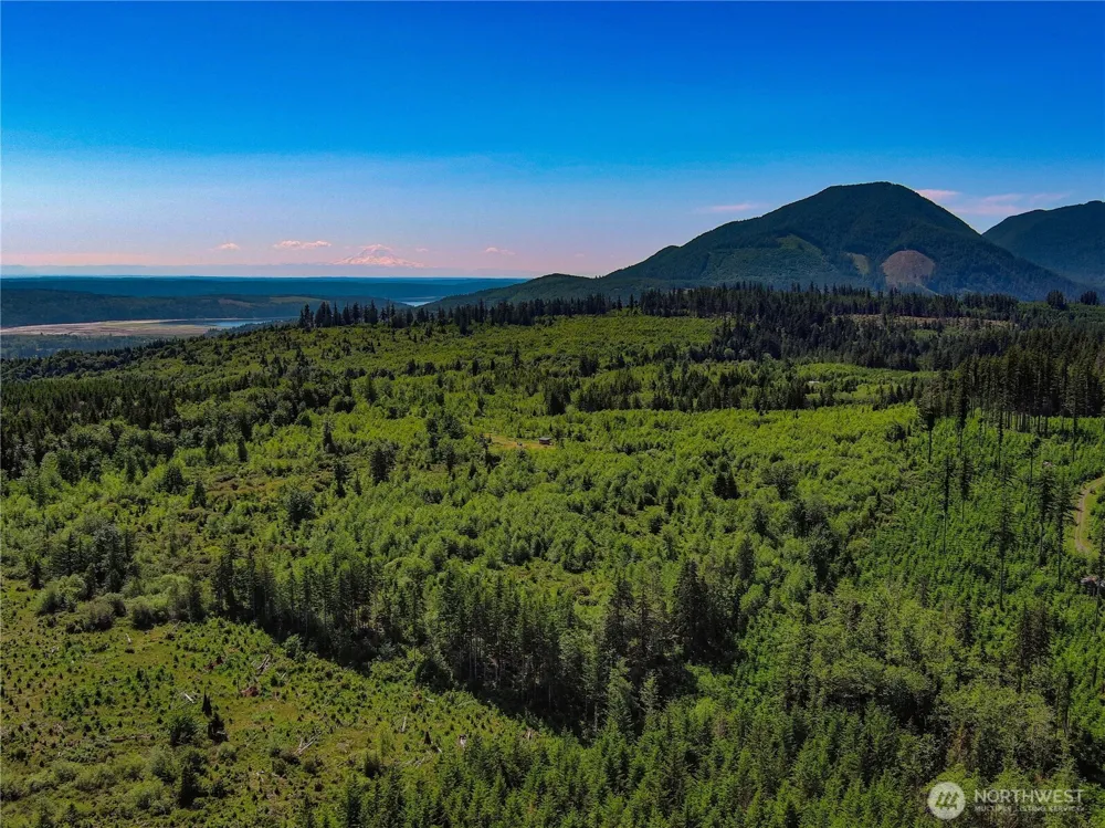 2904 Wildwood Drive Quilcene, WA 98376