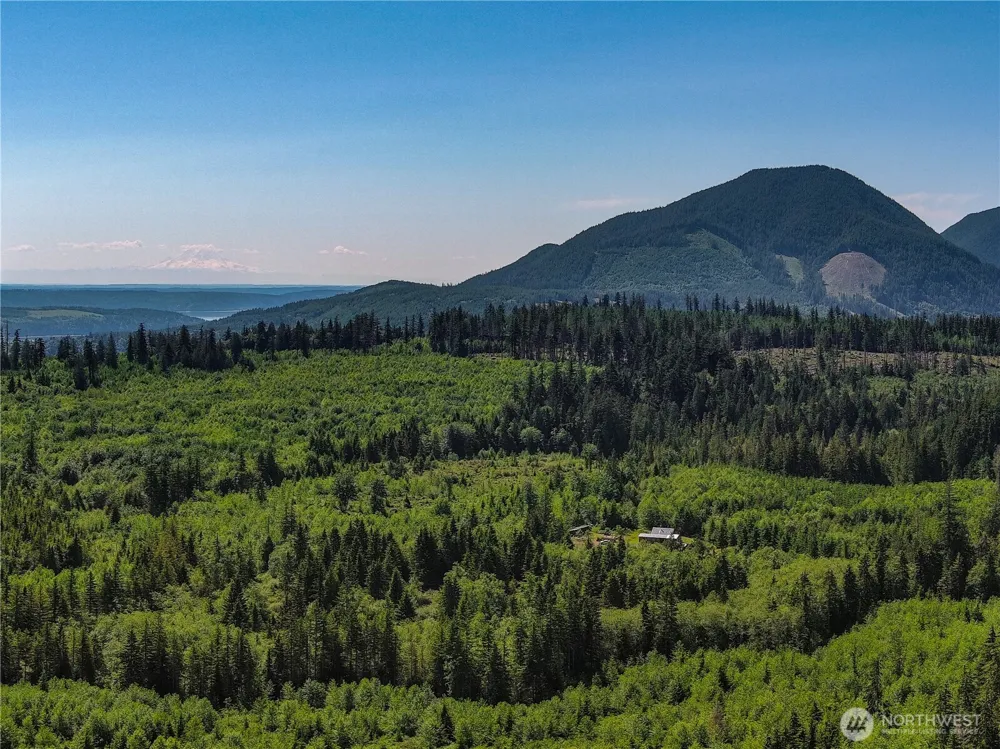 2904 Wildwood Drive Quilcene, WA 98376